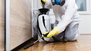 Best Residential Pest Control  in Valinda, CA